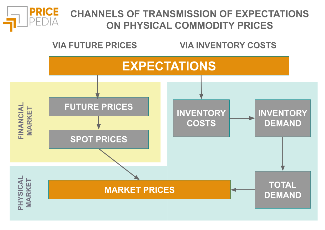 Channels of transmission of expectations on physical commodity prices