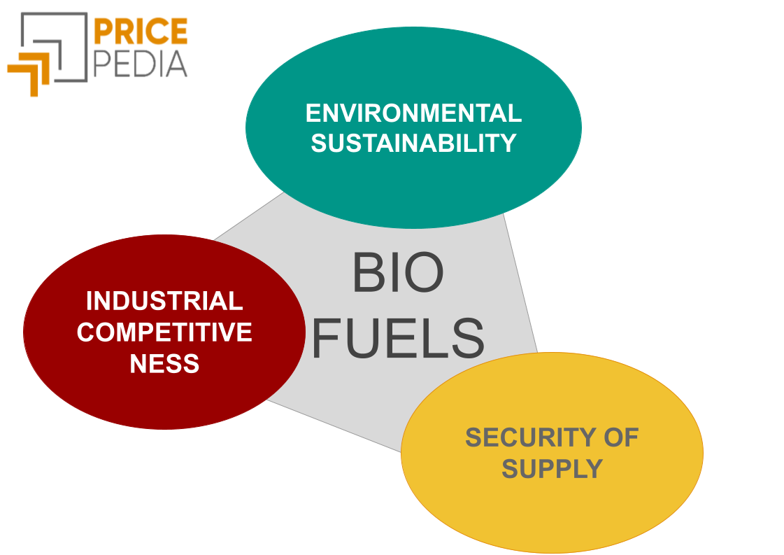 Sustainability, supply, competitiveness: the European dilemma
