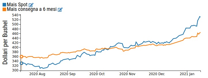 Andamento della quotazione spot e future del mais al CME 