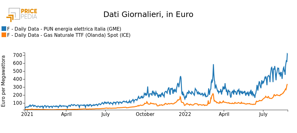 Prezzi del gas e dell'energia elettrica