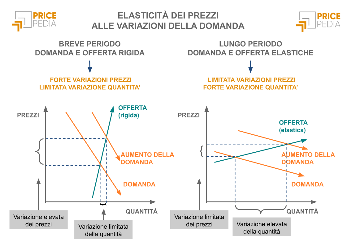 Elasticità dei prezzi alle variazioni della domanda Elasticità dei prezzi alle variazioni della domanda