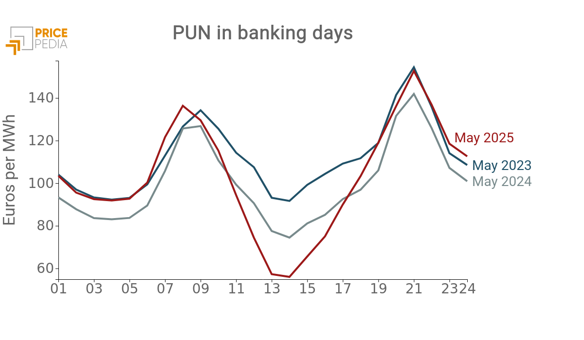 Hourly PUN Profile Banking Days